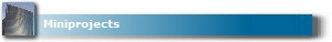 Miniprojects