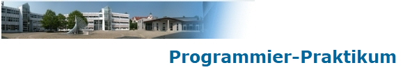 Programmier-Praktikum